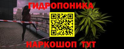 Альфа ПВП Будённовск