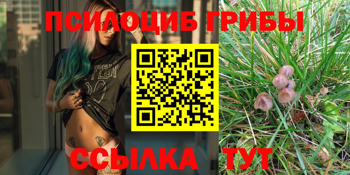 Псилоцибиновые грибы GOLDEN TEACHER  Вход с VPN  Королёв 