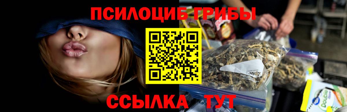 Псилоцибиновые грибы Psilocybe Королёв